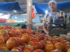 Harga Tomat Naik, Pedagang di Pasar Induk Mandalika Mengeluh Pembeli Sepi