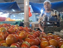 Harga Tomat Naik, Pedagang di Pasar Induk Mandalika Mengeluh Pembeli Sepi