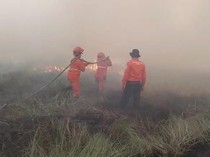 Kebakaran Lahan di Ogan Ilir Diduga Disengaja, Pelaku Diburu