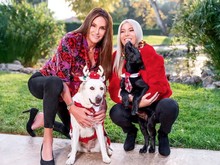 Manager Caitlyn Jenner Meninggal Usai Kecelakaan ATV Manager Caitlyn Jenner Meninggal Usai Kecelakaan ATV