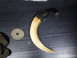 Pemuda Mabuk yang Serang Ustaz Cucu Pakai Taring Babi Ditahan!