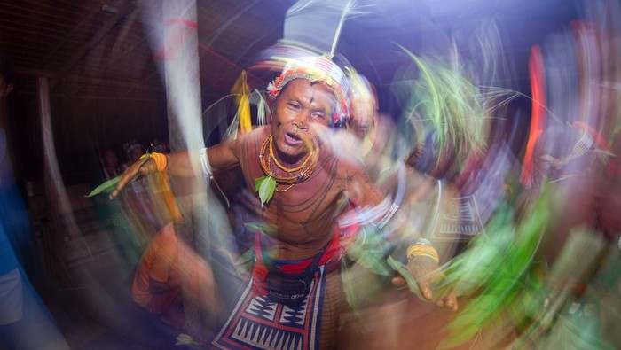 Bikin Merinding, Ritual Turuk Laggai Sikerei Mentawai Demi Penyembuhan Sejumlah Sikerei (dukun Mentawai) menampilkan aksi tarian tradisional Turuk Laggai di Desa Matotonan, Siberut Selatan, Kepulauan Mentawai, Sumatera Barat, Jumat (4/7/2025). Tarian yang menirukan gerakan hewan ini dipercaya sebagai cara untuk berkomunikasi dengan roh-roh gaib, termasuk roh leluhur, yang diyakini dapat membantu proses pembersihan dan penyembuhan. ANTARA FOTO/Iggoy el Fitra
