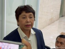 Jadi Calon Dubes Jepang, Adik Luhut Fokus Hubungan Bilateral-Ketenagakerjaan