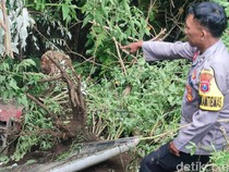 Mobil Jip Bromo Bawa Wisatawan China Masuk Jurang Sedalam 60 Meter