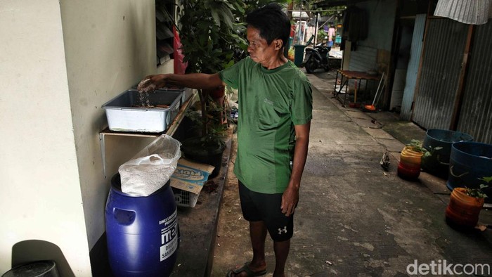Hebat! Kampung Magot di Jakarta Utara Ubah Sampah Jadi Rupiah Di tengah padatnya permukiman Sunter Agung, RT 7 Tanjung Priok, Jakarta Utara, muncul inovasi yang menginspirasi. Warga setempat berinisiatif memelihara magot larva lalat Black Soldier Fly, untuk mengelola sampah organik sekaligus menambah penghasilan keluarga.
