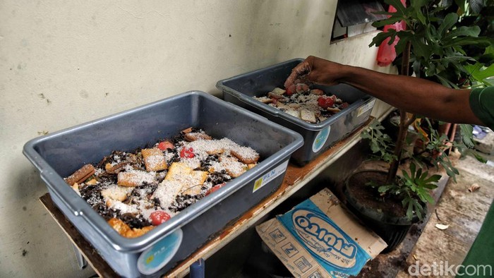 Hebat! Kampung Magot di Jakarta Utara Ubah Sampah Jadi Rupiah Di tengah padatnya permukiman Sunter Agung, RT 7 Tanjung Priok, Jakarta Utara, muncul inovasi yang menginspirasi. Warga setempat berinisiatif memelihara magot larva lalat Black Soldier Fly, untuk mengelola sampah organik sekaligus menambah penghasilan keluarga.