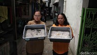 Dengan peralatan sederhana seperti ember bekas, jaring nyamuk, dan atap seng, warga mengubah lorong-lorong sempit menjadi tempat produksi pakan bernutrisi tinggi untuk ternak.