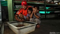Hasilnya tidak main-main. Setiap rumah bisa menghasilkan kiloan magot kering yang laku dijual ke peternak dengan harga yang menguntungkan.