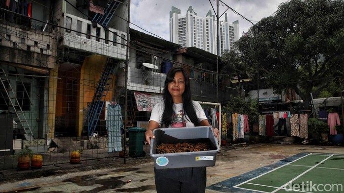 Di tengah padatnya permukiman Sunter Agung, RT 7 Tanjung Priok, Jakarta Utara, muncul inovasi yang menginspirasi. Warga setempat berinisiatif memelihara magot larva lalat Black Soldier Fly, untuk mengelola sampah organik sekaligus menambah penghasilan keluarga.