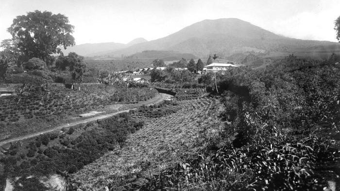 Perkebunan teh Goalpara Preanger
