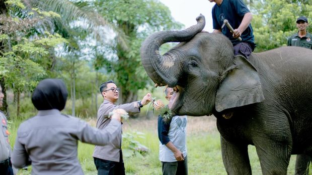 Polisi memberi dukungan pakan untuk gajah-gajah di PLG Sebangga, Kabupaten Bengkalis, Kamis (3/7/2025).