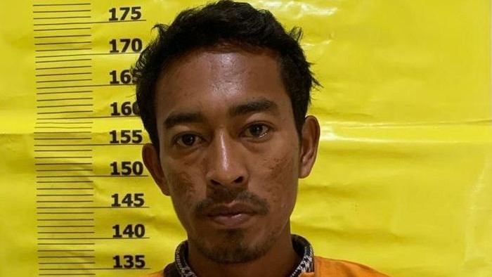 Polisi menangkap ninja buron pencurian sawit di Rohil, Riau, pada Jumat (4/7/2025).