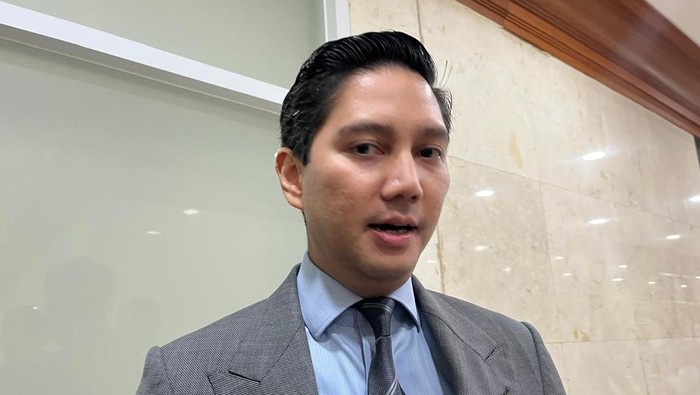 Wakil Ketua Komisi I Budi Djiwandono