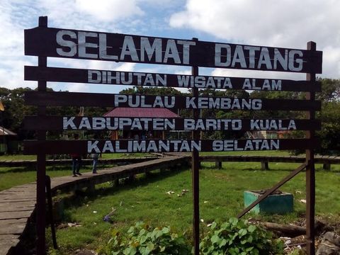 Wisata pulau para monyet di Pulau Kembang.