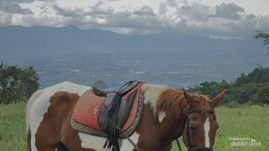 Video: Bojafarm & Farmstay, Wisata Edukasi-Nature Stay Dekat Gunung Salak