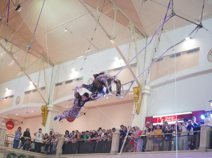 flying trapeze