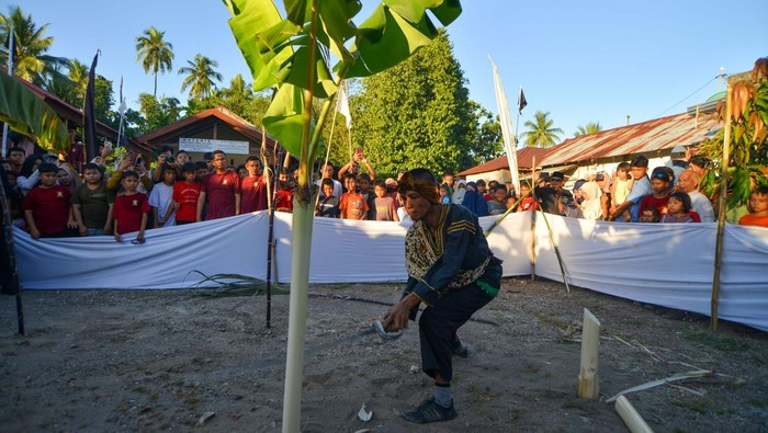 Menjaga Warisan Leluhur lewat Prosesi Tabuik di Pariaman Dubalang (algojo) Tabuik Pasa melakukan prosesi Manabang Batang Pisang di Pariaman, Sumatera Barat, Selasa (1/7/2025). Prosesi kedua Tabuik itu dilakukan dengan menebang pohon pisang dan mengaraknya bersama-sama itu pada rangkaian Pesona Budaya Hoyak Tabuik Budaya Piaman 2025 memperingati Hari Asyura (10 Muharram) 1447 Hijriyah. ANTARA FOTO/Iggoy el Fitra/foc.