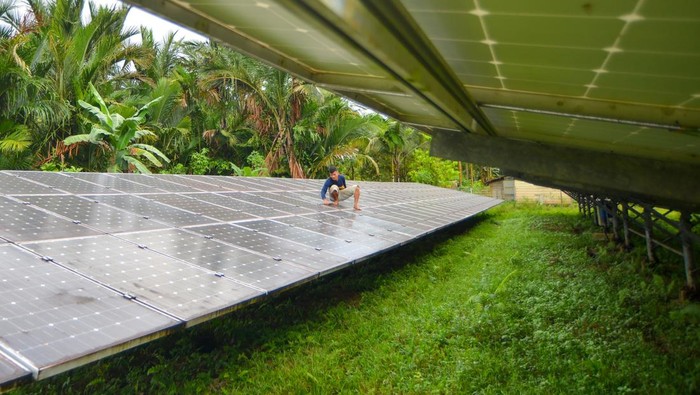 Petugas membersihkan panel pembangkit listrik tenaga surya (PLTS) di Desa Matotonan, Siberut Selatan, Kabupaten Kepulauan Mentawai, Sumatera Barat, Minggu (6/7/2025). PLTS bantuan dari Kementerian ESDM yang terpusat di daerah 3T itu dapat menerangi 327 KK dengan kapasitas 75 Kwp. ANTARA FOTO/Iggoy el Fitra/agr
