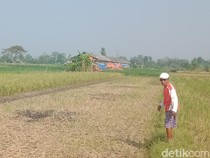 Kisah 6 Perajin Batu Bata Klaten Temukan Harta Karun Saat Gali Sawah