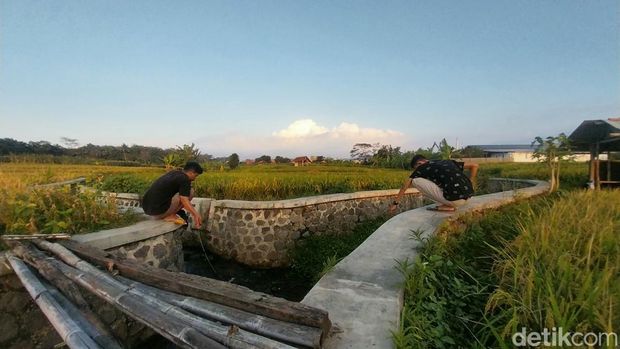 Warga memancing di aliran Sungai Cibondol dengan latar Gunung Ciremai.