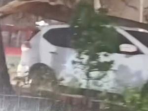 Pohon Tumbang di Depan Kantor Walkot Medan Timpa Mobil