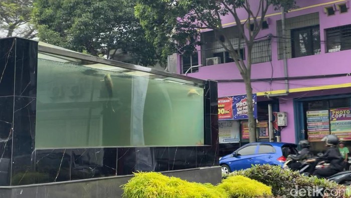Aquarium sebelumnya berisi ikan koi di Taman Adipura Kota Malang