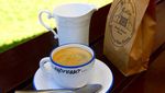 10 Biji Kopi Paling Mahal di Dunia, Ada Kopi Luwak dari Indonesia!