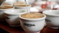 Tanah Panama, Amerika Tengah, ternyata juga menghasilkan varietas kopi unggulan. Adalah Hacienda La Esmeralda yang dibanderol harga Rp 5,6 juta per 500 gramnya.  Foto:/Everyday Coffee Roasters