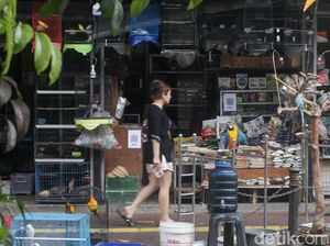 Jerit Pedagang Pasar Barito: Utang Belum Lunas, Dagangan Sepi