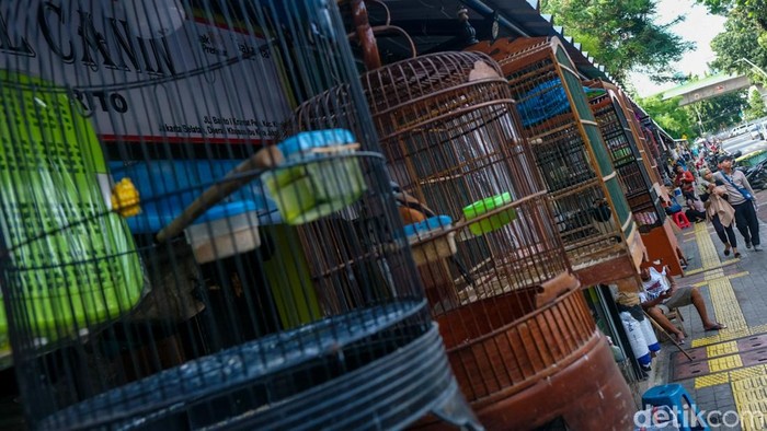 Geliat Pedagang Burung Barito Jaksel yang Bakal Direlokasi ke Lenteng Agung Warga berkeliling melihat burung yang dijual di Pasar Barito, Jaksel, Senin (7/7/2025). Pedagang burung di Barito akan direlokasi ke Lenteng Agung imbas penyatuan Taman ASEAN.