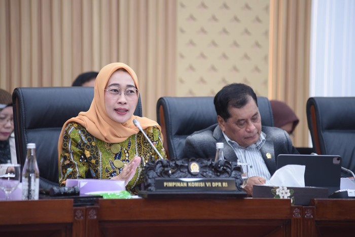 Ketua Komisi VI DPR RI Anggia Ermarini