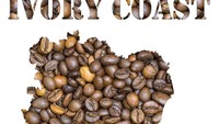 Thailand dikenal memiliki biji kopi terbaik dunia dengan nama Black Ivory. Varietas ini unik karena berasal dari kotoran gajah yang menghasilkan profil aroma mirip cokelat, kacang, dan buah. Harganya mencapai Rp 49,6 juta per kg. Foto: Getty Images/MattiaATH
