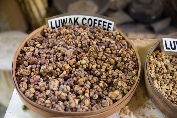 Bowl of Luwack coffee seeds, also called civet coffee. They come from coffee berries that have been eaten and defecated by the Asian palm civet, which is a small viverrid. They are grown in Indonesia and are one of the most expensive coffees. Taken with a Canon 5D Mark3. rm