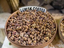 10 Biji Kopi Paling Mahal di Dunia, Ada Kopi Luwak dari Indonesia!