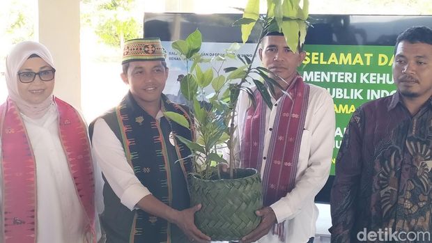 Menhut Raja Juli membagikan dan menanam bibit pohon di Labuan Bajo, NTT, Senin (7/7/2025).