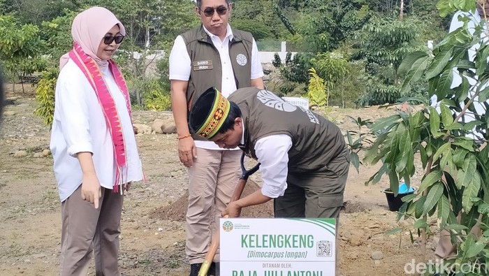 Menhut Raja Juli membagikan dan menanam bibit pohon di Labuan Bajo, NTT, Senin (7/7/2025).