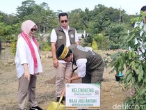 Raja Juli Tanam Bibit Pohon Buah di Labuan Bajo, Sasar Pasar Pariwisata