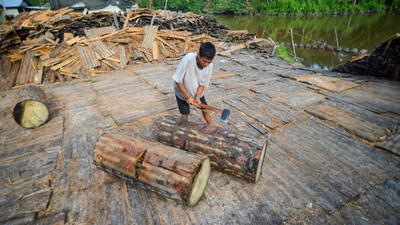 Menjaga Tradisi Sagu Mentawai di Tengah Arus Modernisasi