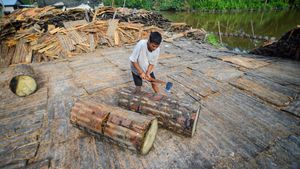 Menjaga Tradisi Sagu Mentawai di Tengah Arus Modernisasi