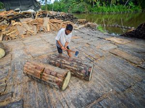 Menjaga Tradisi Sagu Mentawai di Tengah Arus Modernisasi