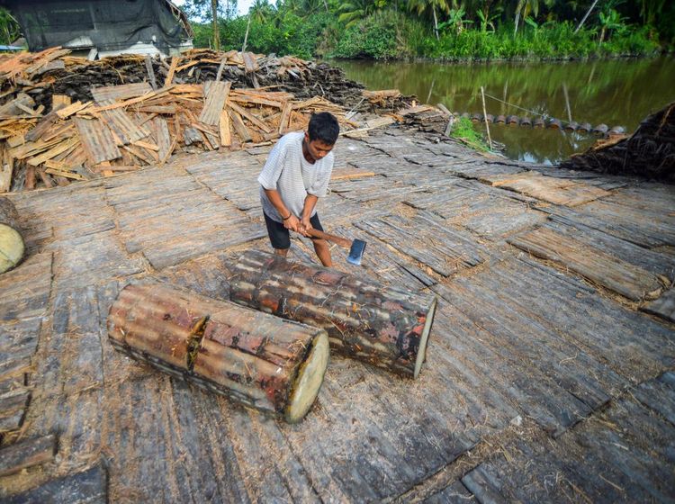 Menjaga Tradisi Sagu Mentawai di Tengah Arus Modernisasi