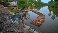 Pekerja menarik batang sagu yang sudah direndam di Muara Siberut, Kepulauan Mentawai, Sumatera Barat, Senin (7/7/2025). Foto: ANTARA FOTO/Iggoy el Fitra