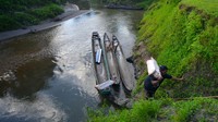Warga memindahkan potongan batang sagu. Selain itu, batang sagu juga diolah menjadi tepung dan sisanya menjadi makanan ternak, yang biasa dijual Rp50 ribu per 25 kilogram. Foto: ANTARA FOTO/Iggoy el Fitra