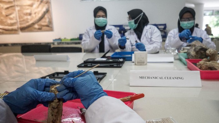 Menyambung Sejarah Purba Lewat Konservasi Fosil di Sragen Konservator melakukan perawatan fosil dan benda purbakala di Museum Manusia Purba Klaster Bukuran, Kalijambe, Sragen, Jawa Tengah, Senin (7/7/2025). Museum Manusia Purba Klaster Bukuran selain sebagai museum edukasi juga berfungsi sebagai tempat konservasi fosil dan temuan benda purbakala yang ditemukan di kawasan situs manusia purba Sangiran dan telah ditetapkan UNESCO sebagai situs warisan budaya dunia. ANTARA FOTO/Mohammad Ayudha/nym.