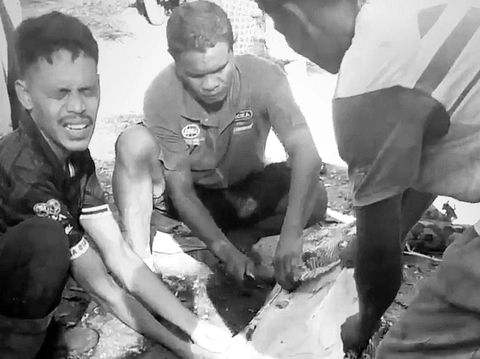 Momen warga membelah perut ular piton 5 meter untuk mengeluarkan jasad petani di Buton Selatan.