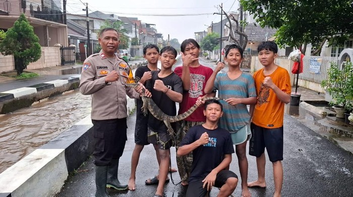 Polisi bareng bocil menangkap biawak di Perumahan Pondok Hijau, Ciputat, Tangsel, Senin (7/7/2025).