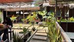 Raos Pisan! Oseng Nila dan Hampas Kecap di Warung Langganan PNS