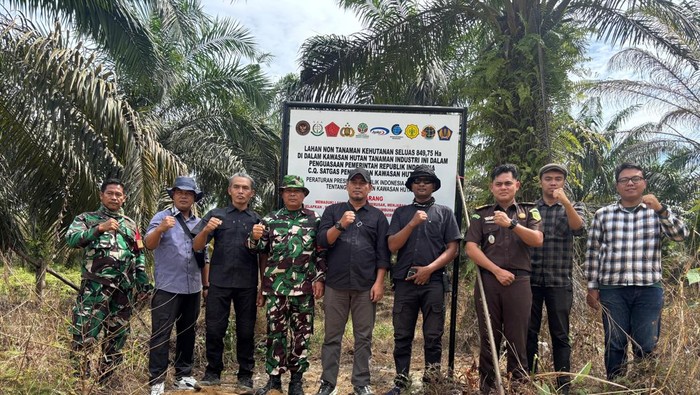 Satgas PKH memasang papan pemberitahuan penyitaan lahan sawit di kawasan hutan di Tebo, Jambi