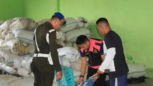 Tim kejari menggeledah PT Algae Sumba Timur Lestari di Desa Tanamanang, Kecamatan Pahunga Lodu, Kabupaten Sumba Timur, NTT, Senin (7/7/2025). (Dok. Kejari Sumba Timur)