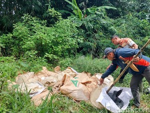Teror Bau Busuk Karung Berisi Bangkai Ayam di Lembang